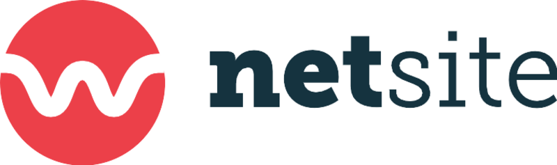 Netsite logo large