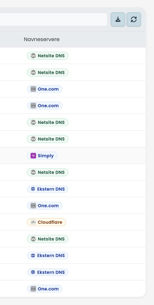Netsites kontrolpanel med oversigt over domænernes navneservere