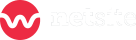 Netsite logo - Gå til forsiden